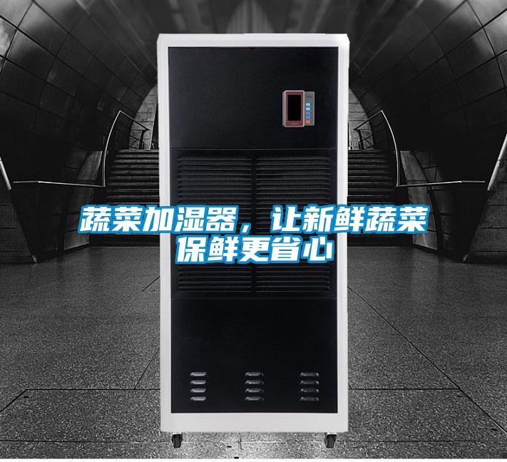 蔬菜加湿器，让新鲜蔬菜保鲜更省心