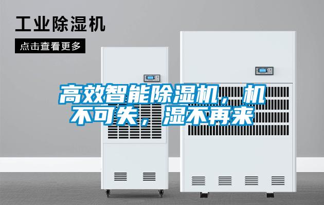 高效智能草莓视频APP在线观看，机不可失，湿不再来