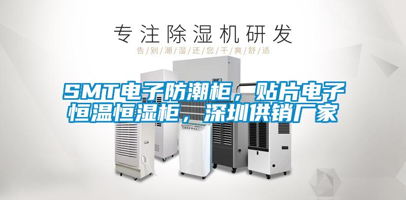 SMT电子防潮柜，贴片电子恒温恒湿柜，深圳供销厂家