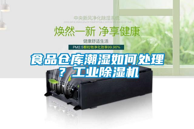 食品仓库潮湿如何处理？工业草莓视频APP在线观看