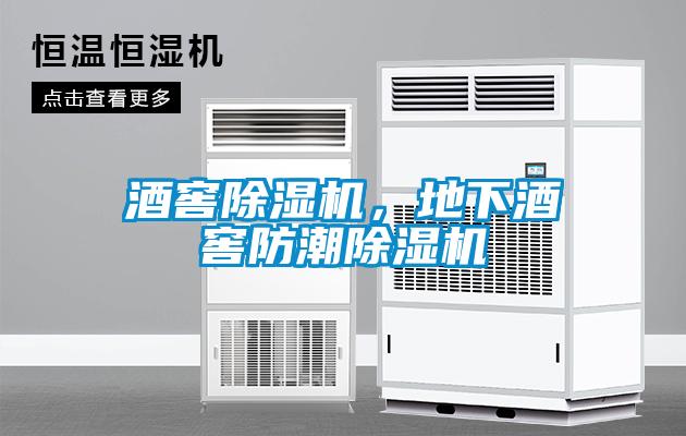 酒窖草莓视频APP在线观看，地下酒窖防潮草莓视频APP在线观看