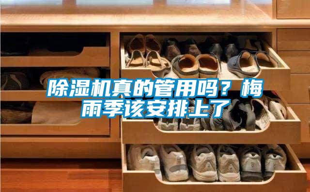 草莓视频APP在线观看真的管用吗？梅雨季该安排上了