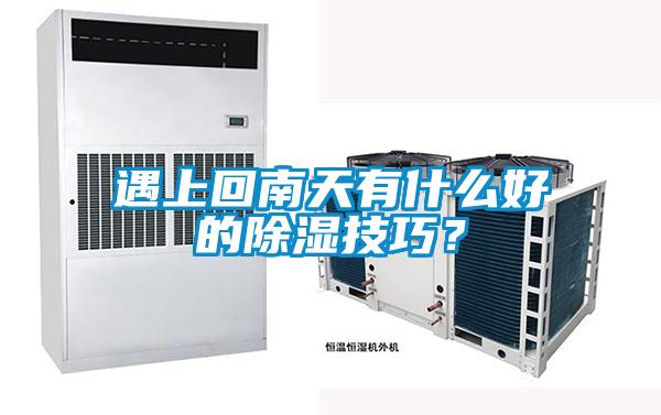 遇上回南天有什么好的除湿技巧？