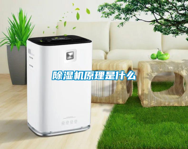 草莓视频APP在线观看原理是什么