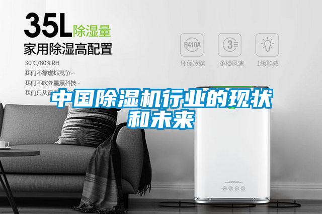 中国草莓视频APP在线观看行业的现状和未来