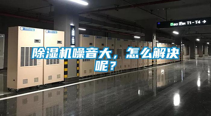 草莓视频APP在线观看噪音大，怎么解决呢？