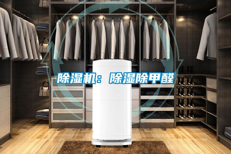 草莓视频APP在线观看：除湿除甲醛
