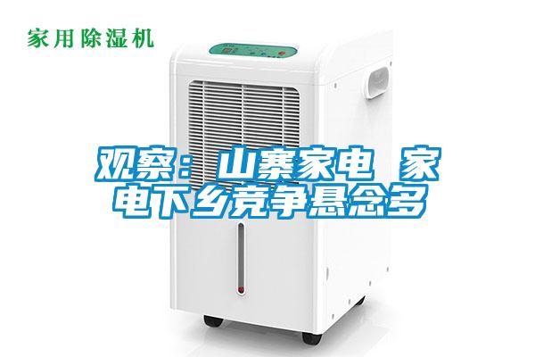 观察：山寨家电 家电下乡竞争悬念多