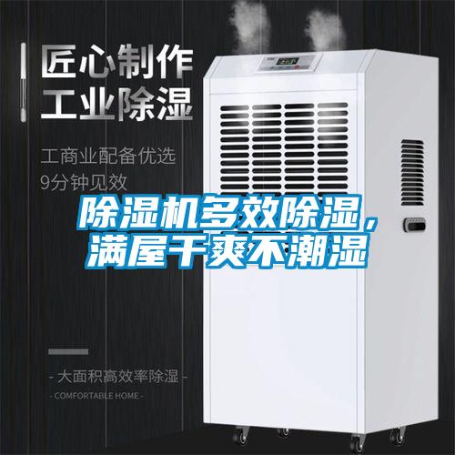 草莓视频APP在线观看多效除湿，满屋干爽不潮湿