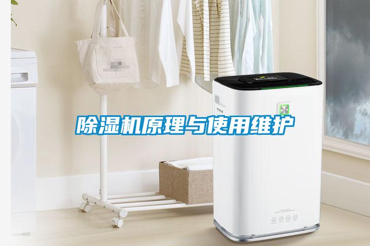 草莓视频APP在线观看原理与使用维护