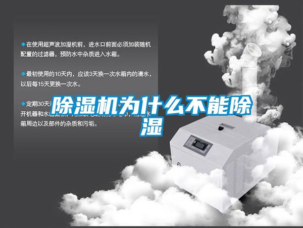 草莓视频APP在线观看为什么不能除湿