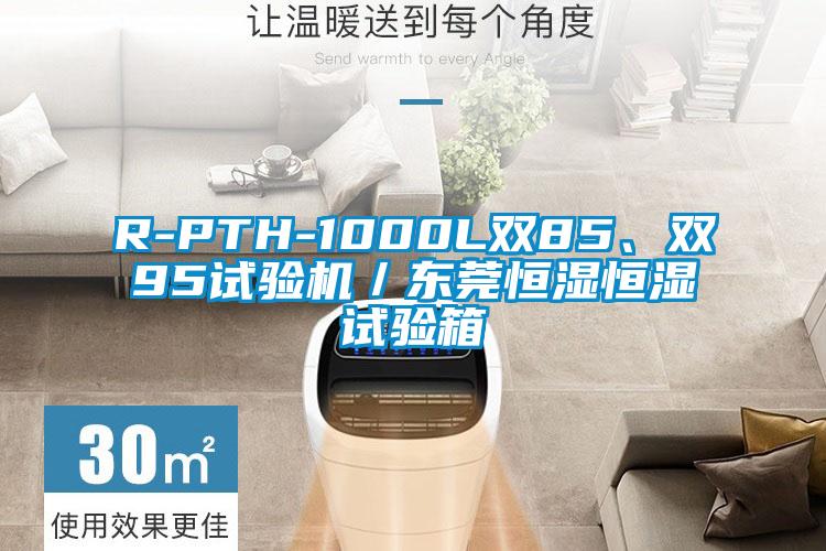 R-PTH-1000L双85、双95试验机／东莞恒湿恒湿试验箱