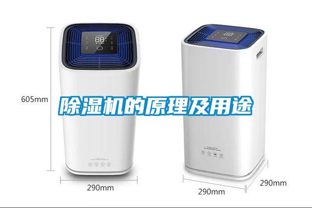 草莓视频APP在线观看的原理及用途
