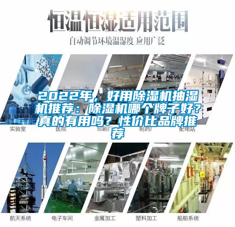 2022年，好用草莓视频APP在线观看抽湿机推荐：草莓视频APP在线观看哪个牌子好？真的有用吗？性价比品牌推荐