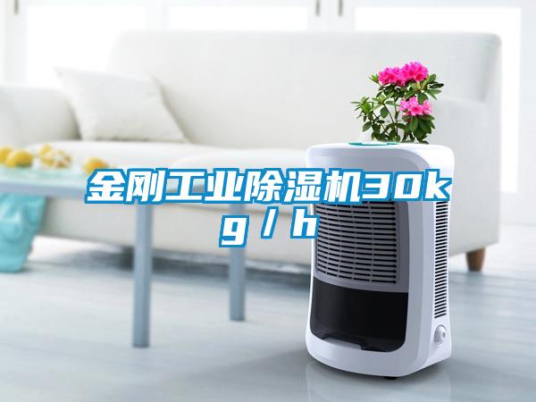金刚工业草莓视频APP在线观看30kg／h