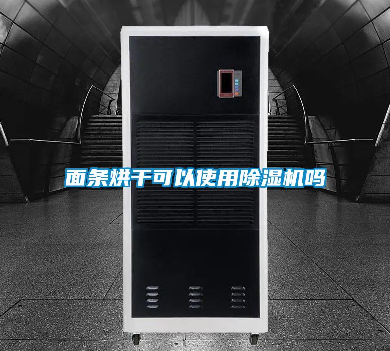 面条烘干可以使用草莓视频APP在线观看吗