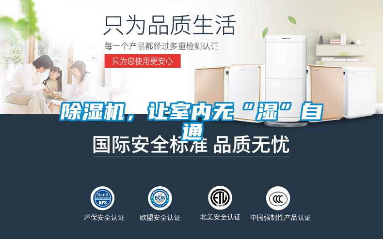 草莓视频APP在线观看，让室内无“湿”自通