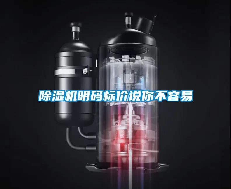 草莓视频APP在线观看明码标价说你不容易