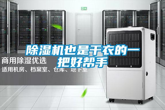 草莓视频APP在线观看也是干衣的一把好帮手