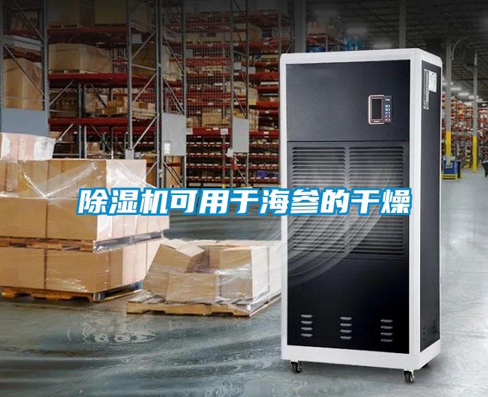 草莓视频APP在线观看可用于海参的干燥