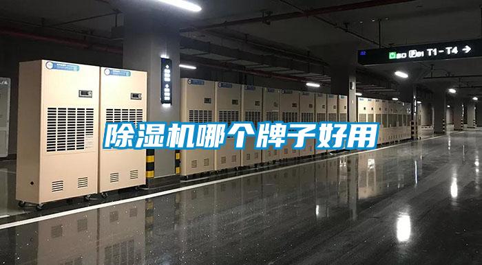 草莓视频APP在线观看哪个牌子好用