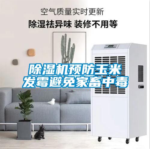 草莓视频APP在线观看预防玉米发霉避免家畜中毒