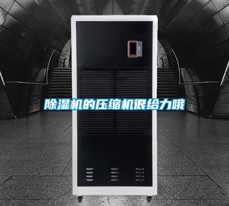 草莓视频APP在线观看的压缩机很给力哦