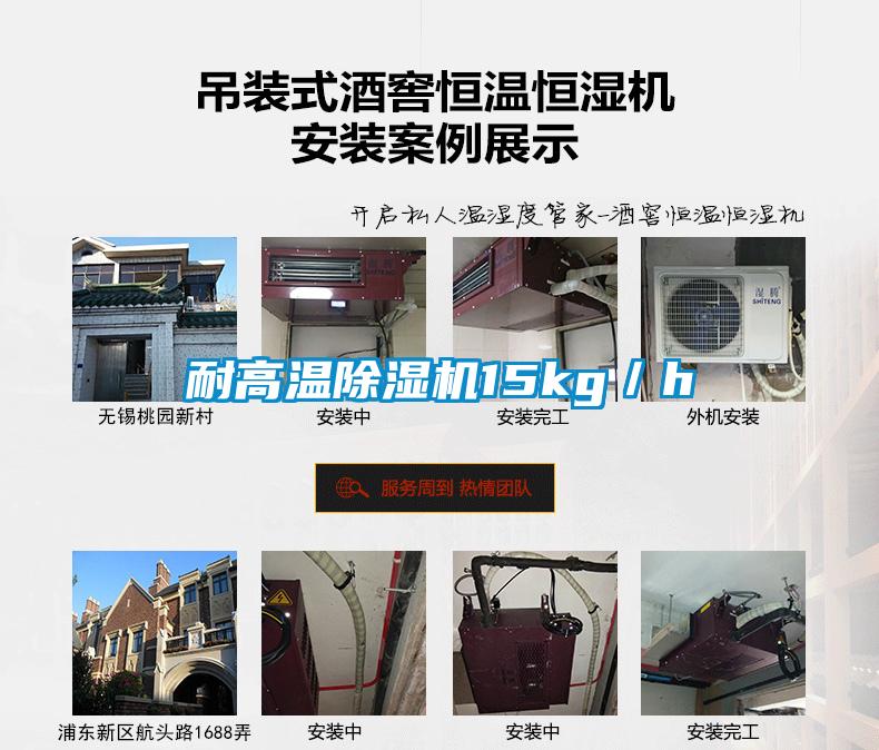耐高温草莓视频APP在线观看15kg／h