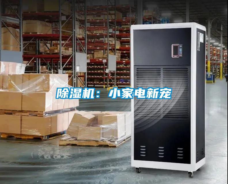 草莓视频APP在线观看：小家电新宠