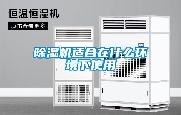 草莓视频APP在线观看适合在什么环境下使用