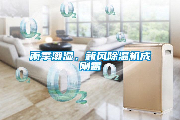 雨季潮湿，新风草莓视频APP在线观看成刚需