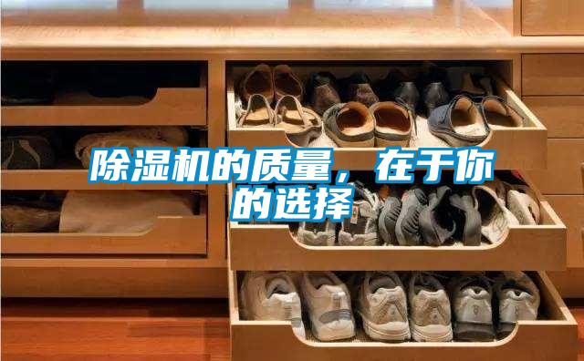 草莓视频APP在线观看的质量，在于你的选择