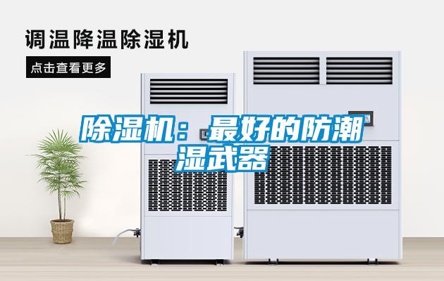 草莓视频APP在线观看：最好的防潮湿武器