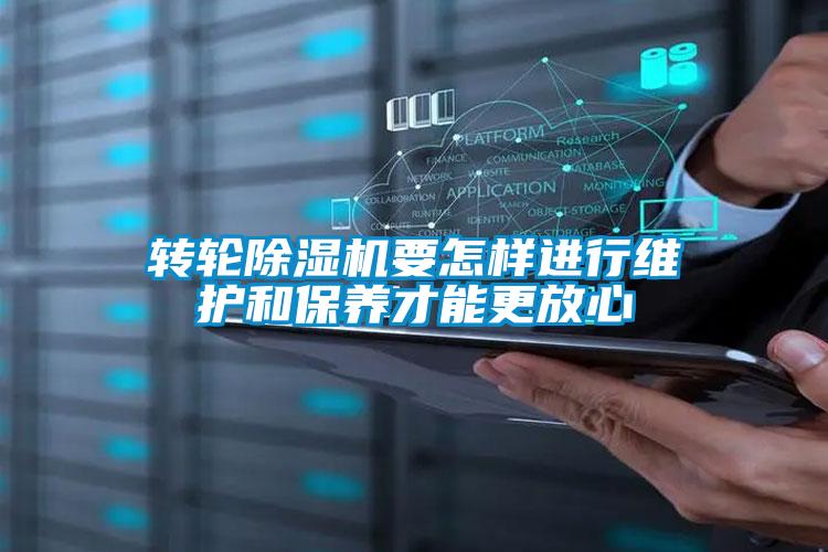转轮草莓视频APP在线观看要怎样进行维护和保养才能更放心