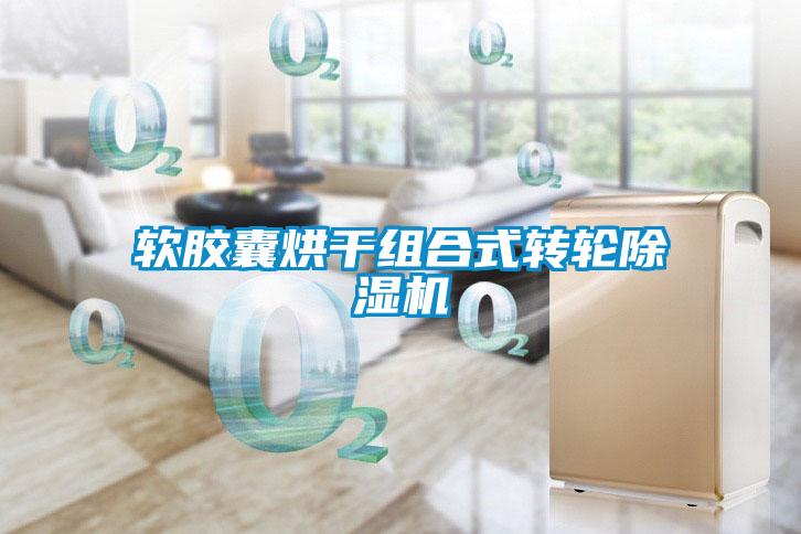 软胶囊烘干组合式转轮草莓视频APP在线观看