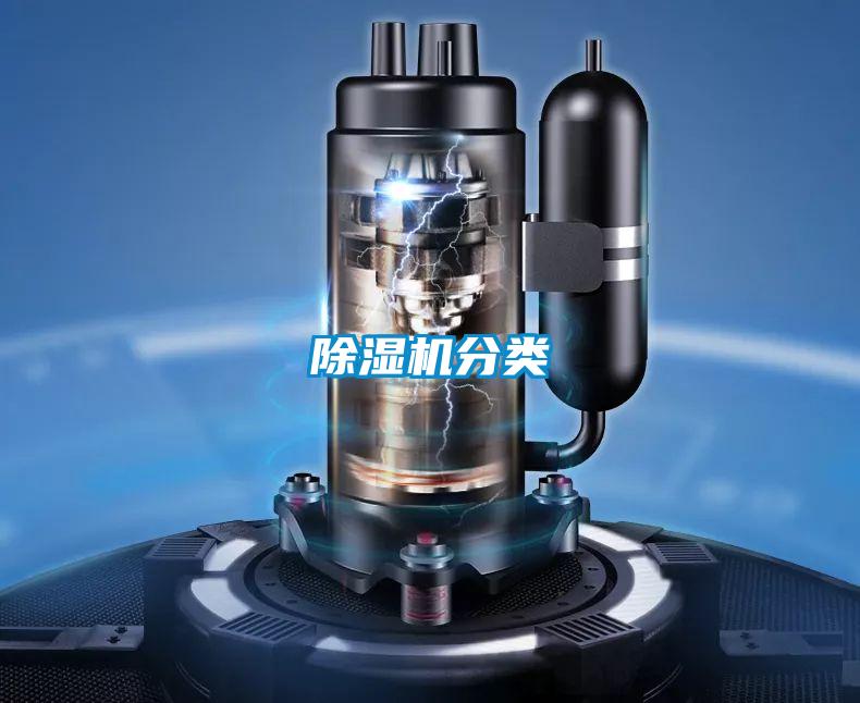 草莓视频APP在线观看分类