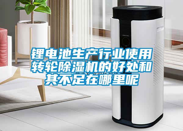 锂电池生产行业使用转轮草莓视频APP在线观看的好处和其不足在哪里呢