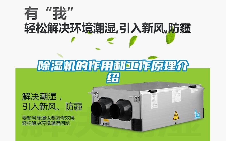 草莓视频APP在线观看的作用和工作原理介绍