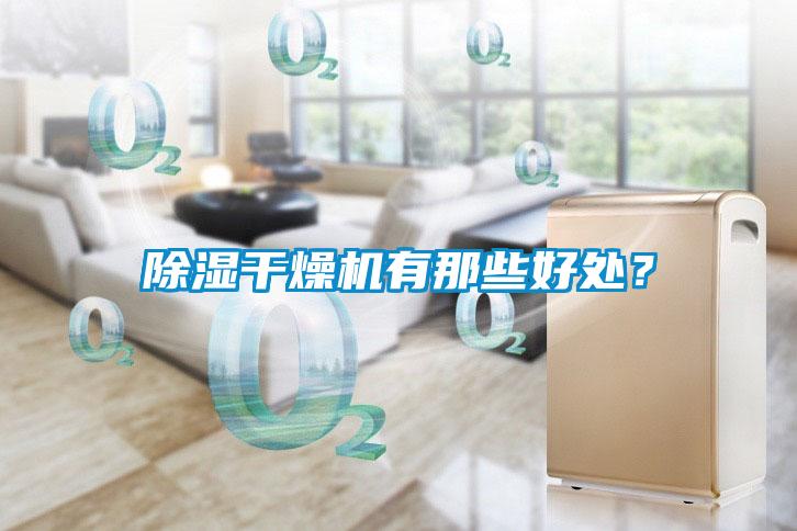 除湿干燥机有那些好处？