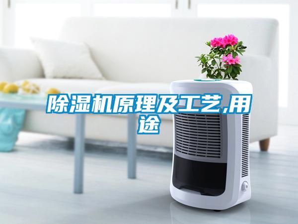 草莓视频APP在线观看原理及工艺,用途