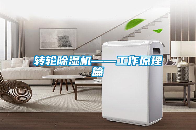 转轮草莓视频APP在线观看——工作原理篇