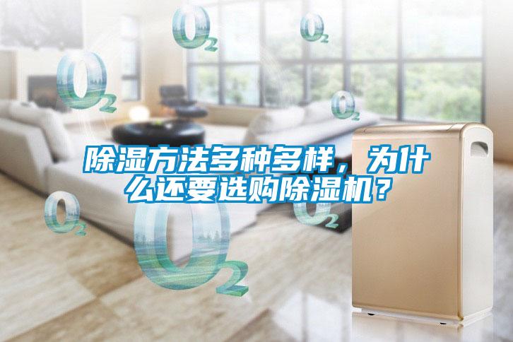 除湿方法多种多样，为什么还要选购草莓视频APP在线观看？