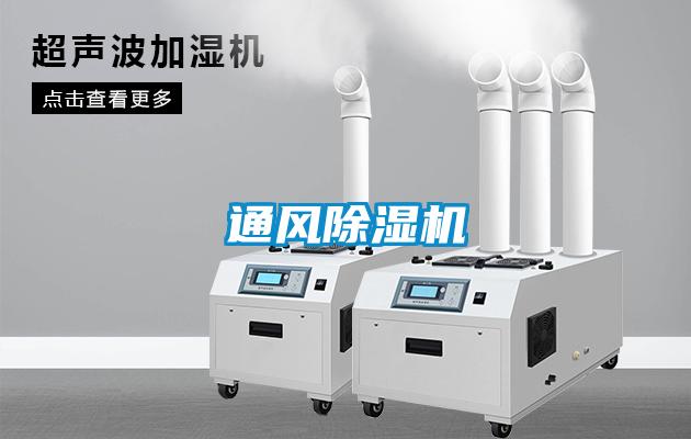 通风草莓视频APP在线观看