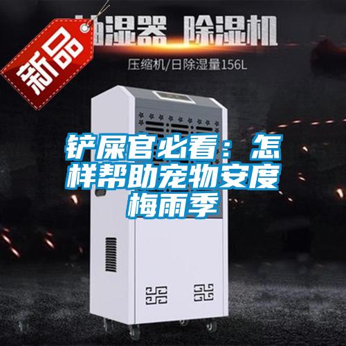 铲屎官必看：怎样帮助宠物安度梅雨季