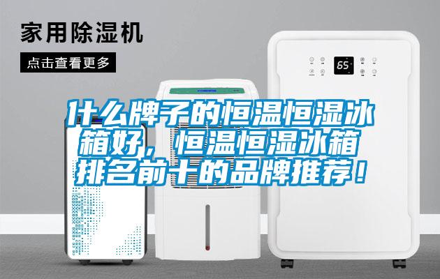 什么牌子的恒温恒湿冰箱好，恒温恒湿冰箱排名前十的品牌推荐！