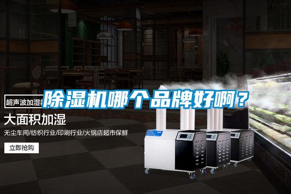 草莓视频APP在线观看哪个品牌好啊?