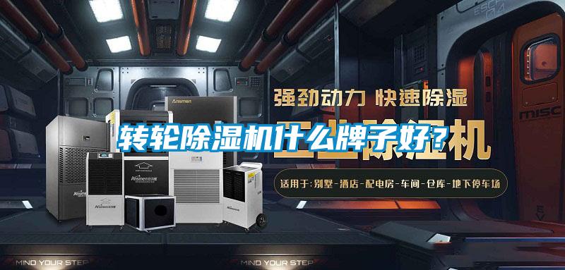 转轮草莓视频APP在线观看什么牌子好？