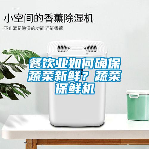 餐饮业如何确保蔬菜新鲜？蔬菜保鲜机