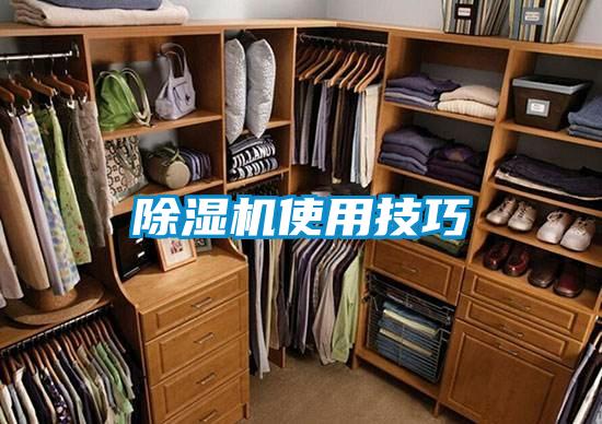 草莓视频APP在线观看使用技巧