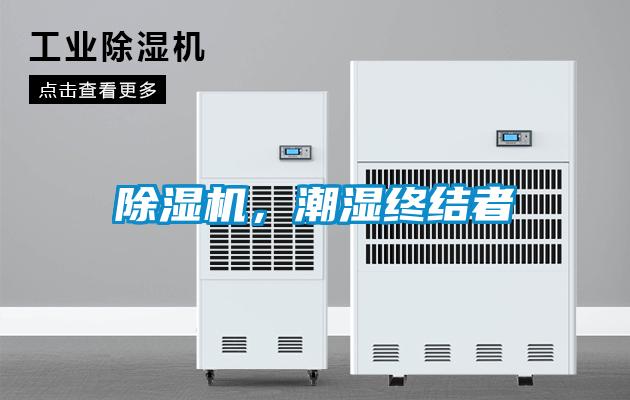 草莓视频APP在线观看，潮湿终结者